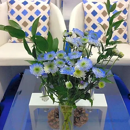 Kambal Maison Bed and breakfast Roma